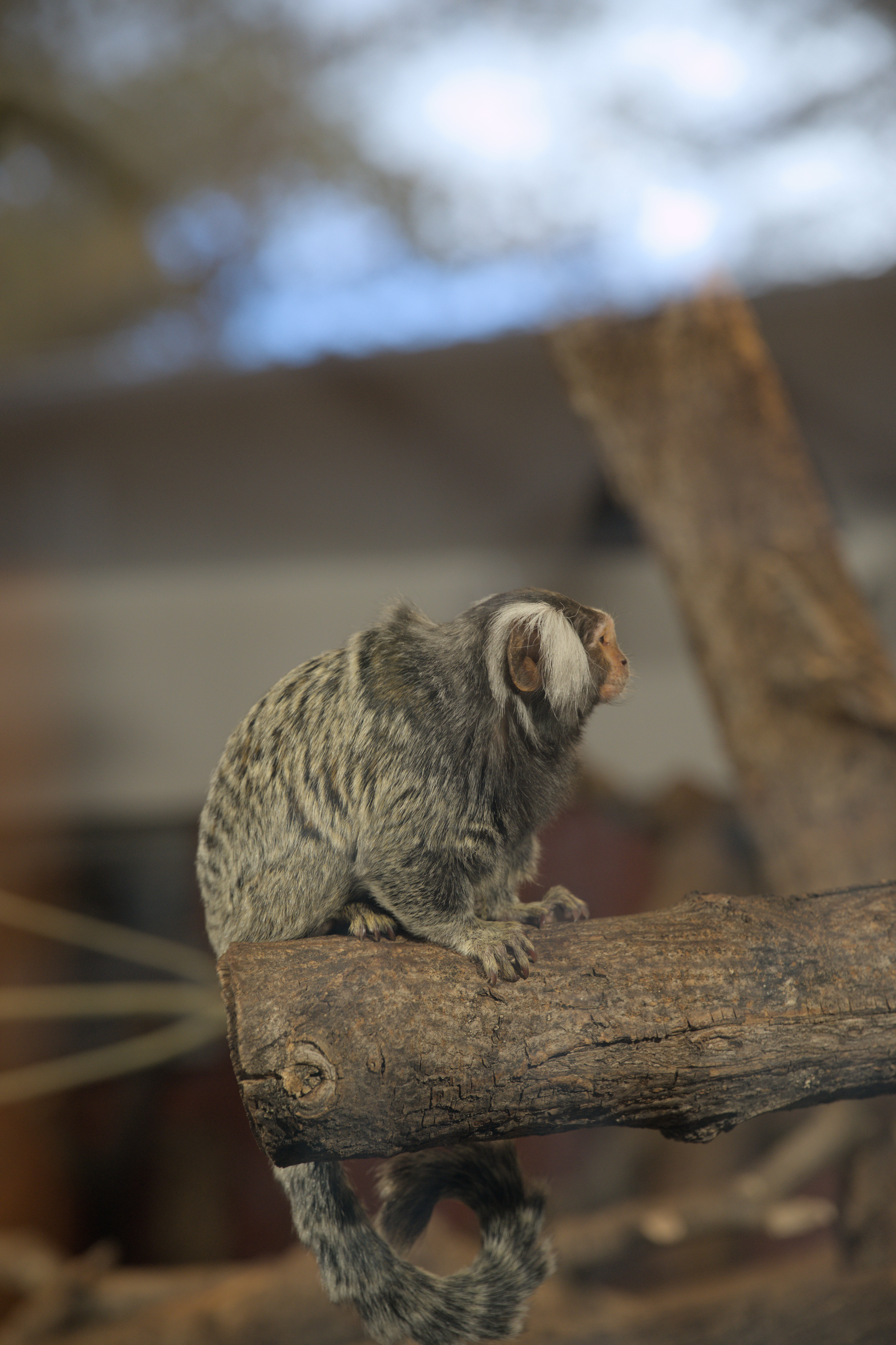 2025/10/12 - zoo/DSC_0104.jpg